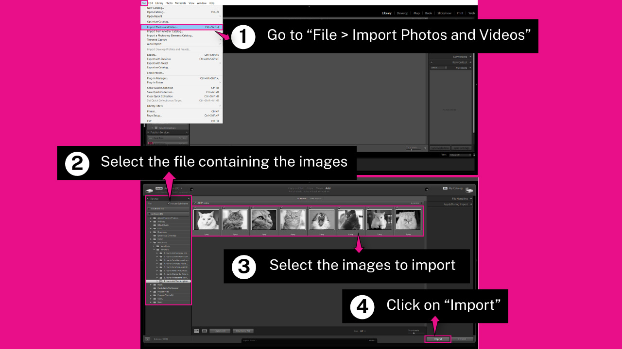 How to Add Text in Lightroom Step 1